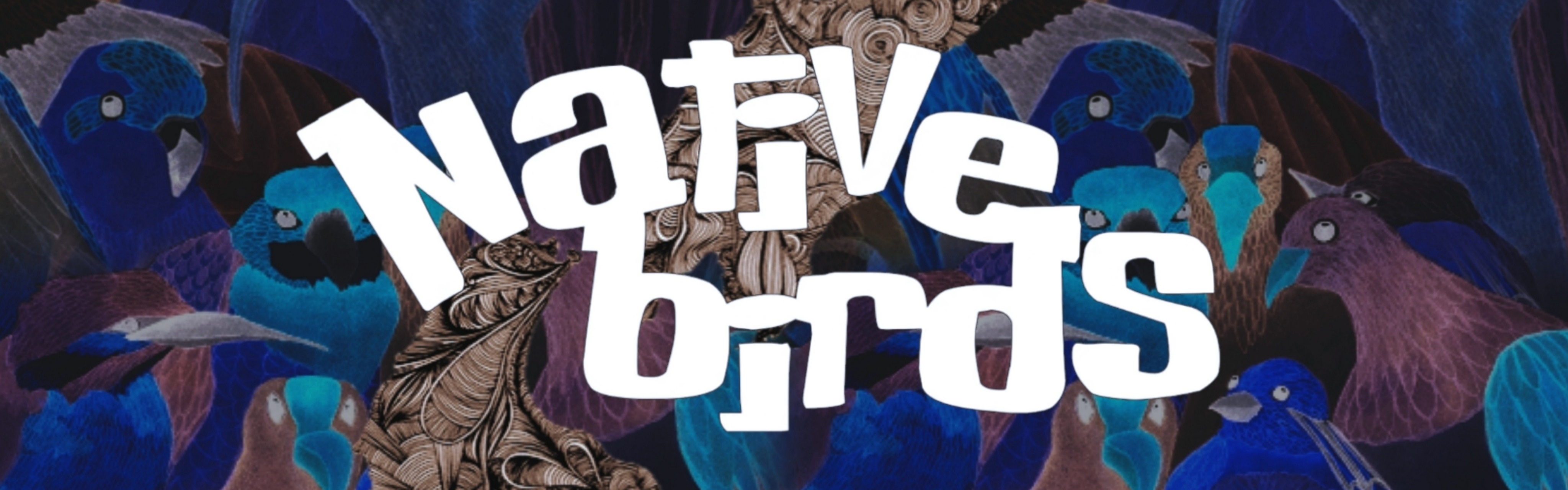 Native Birds Aotearoa